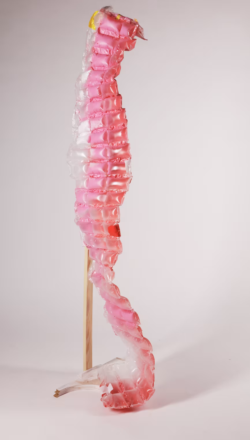 Chain Reaction (2019), mixed media, dimensions variable.